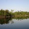 Um dos Afluentes do Xingu