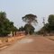 Pantanal - MT
