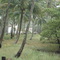 IGREJA - PRAIA DA GAVOA