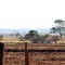 Rural