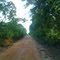 Caminho Mirassolandia
