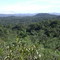 Mata Atlântica Entre APA Dona Francisca e Estação Ecológica do Bracinho