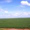FAZENDA NOSSA SENHORA DE FATIMA - VENDE-SE 9963 7282