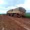 fazenda zonta