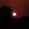 Fim de tarde (1)