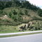 Br 277 Sentido Praias