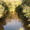 Rio Piraquara.