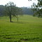 BELISSIMA PAISAGEM-PARQUE DO CARMO