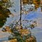 tree and pond