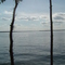 Necedah Lake