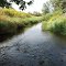 Cunningham Creek East of CTH K.