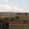 Itaguajé Vista do Sítio do Sidnei