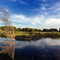 Sica Paradise (Represa de nossos Sonhos)