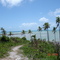 Ponta do Moreira - Cumuruxatiba - BA