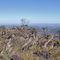 Parque Estadual da Serra do  Rola Moça