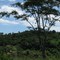 Parque Nacional da Serra do Cipó