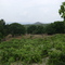 Fazenda Riachão