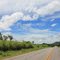 Monte Alegre de Goiás - GO