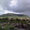 serra da brenaa