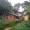 Rio de Janeiro - Favela da Rocinha : limit between favela and rainforest