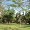 Parque da Cidade