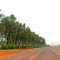 Fazenda BR-158  Novembro 2012