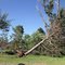 Danbury, wis 1st of July, 2011 storm