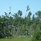 July 1st storm aftermath Oakland WI wisconsin USA