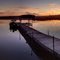 Lower Clam in the Fall