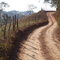 Brumadinho - Suzana