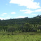 Brumadinho - Marinho