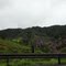 Manacá da serra-Rodovia Régis Bittencourt-São Paulo-SP-Brazil