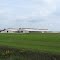 Dairy FARM