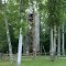 Climbing tower