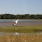 Chegando ao Pantanal - Fazenda Rio Negro