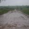 CHUVA NA ESTRADA