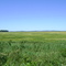 Paisagem rural