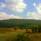 Rural Beauty