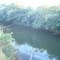 Rio São Bento - Santo Antônio do Rio Verde- Go