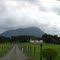 Na beira da estrada...