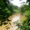 Rio Apiaí-mirim