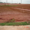 Lote 4E-Terra Nobre Bussocaba