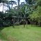 Parque da Cantareira