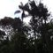 Parque Estadual da Cantareira