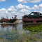 travelling in pantanal