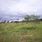Ipameri - Goiás