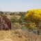 Antiga Ponte de Trem.