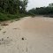 RIO PIMENTA BUENO 1