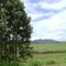 Bela vista verde em Minas Gerais