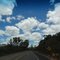 WAY TO ANDRADAS CITY - MINAS GERAIS STATE - BRASIL - SOUTH AMERICA